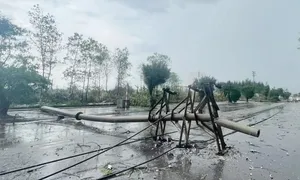 Đình chỉ chức vụ Giám đốc Điện lực thành phố Hạ Long