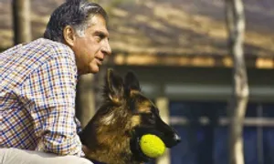 Triệu phú Ấn Độ cho chó cưng thừa kế tài sản